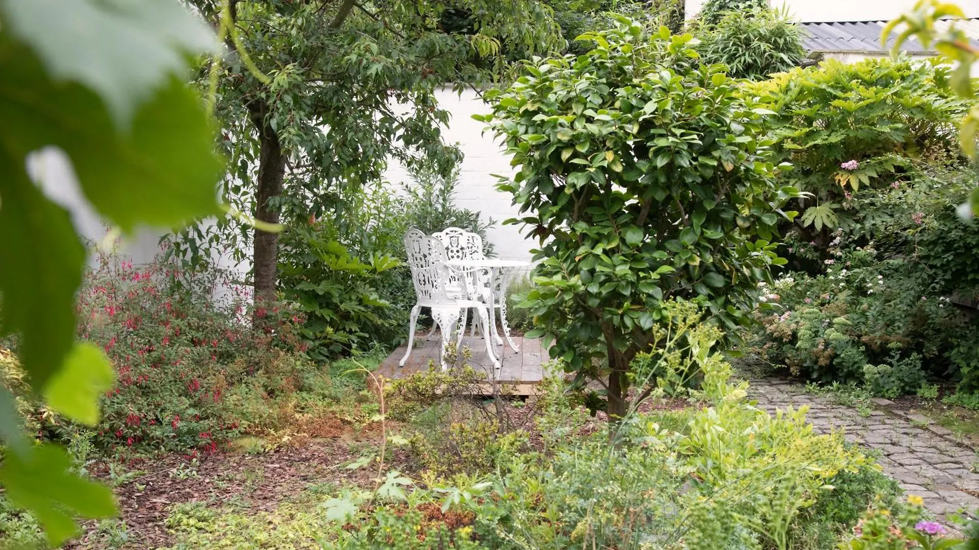 住宿加早餐酒店 The Greenhouse 安特卫普