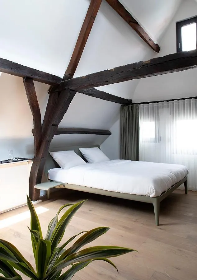 Bed & Breakfast The Greenhouse Antwerp